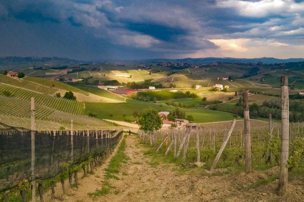Ex Ostu Impero: Vino, Tartufo Ed Ospitalita Apartment La Morra Exterior foto